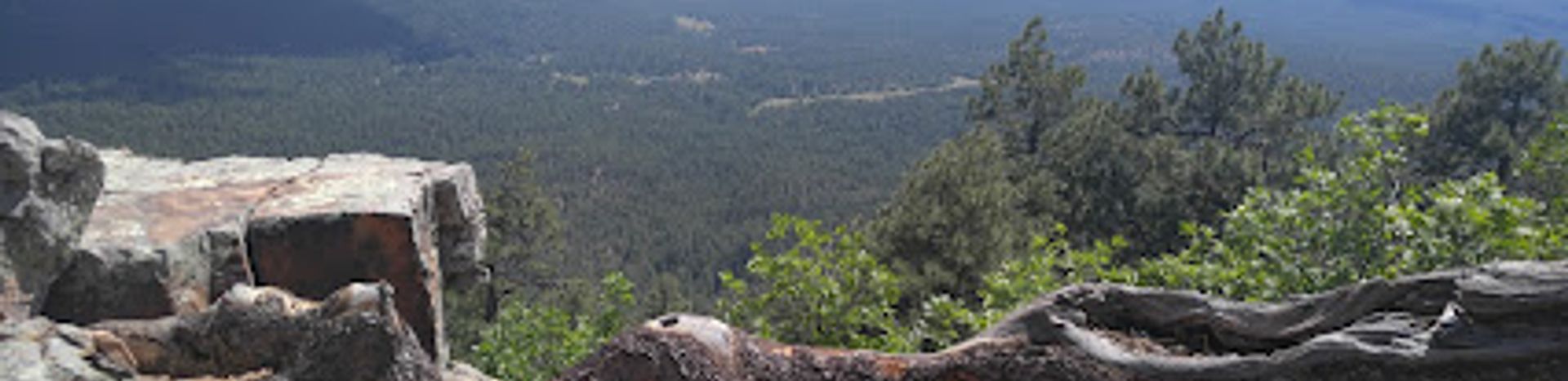 Explore the Wonders of Mogollon Rim Visitor Center