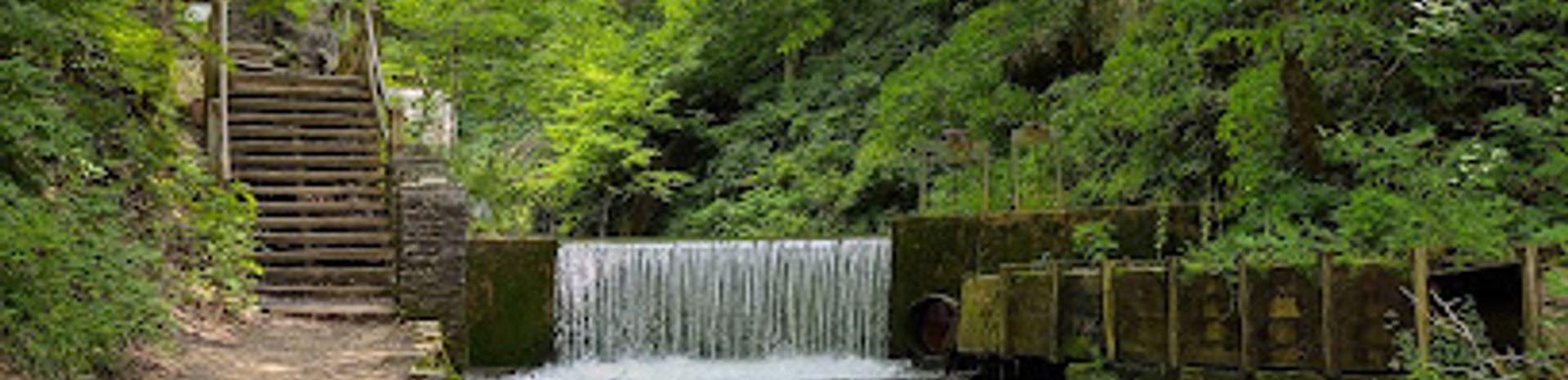 Discover the Serenity of Spring Mill State Park