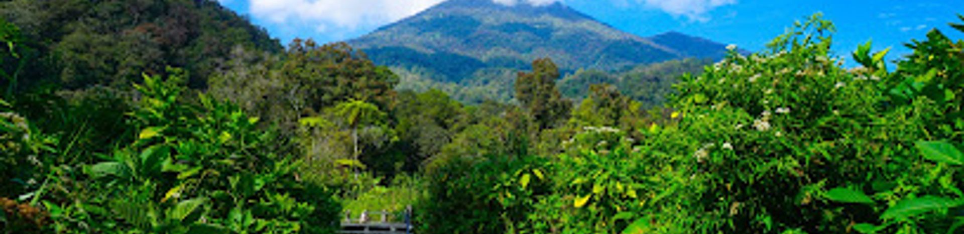 Pangrango National Park