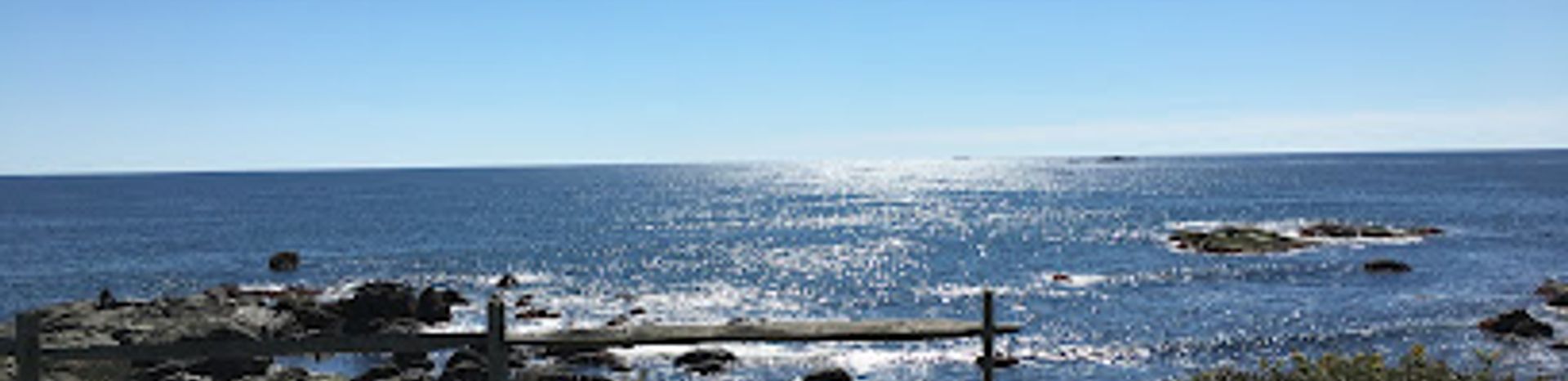 Discover the Serenity of Sachuest Point National Wildlife Refuge
