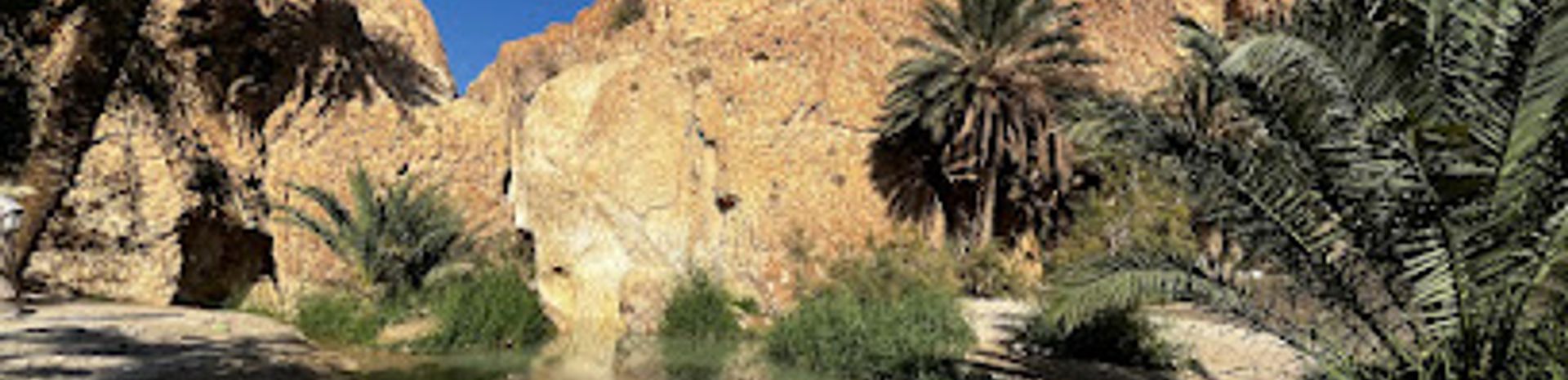 Discover the Enchantment of Chebika Oasis