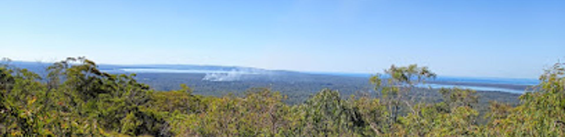 Explore the Natural Wonders of Tewantin National Park