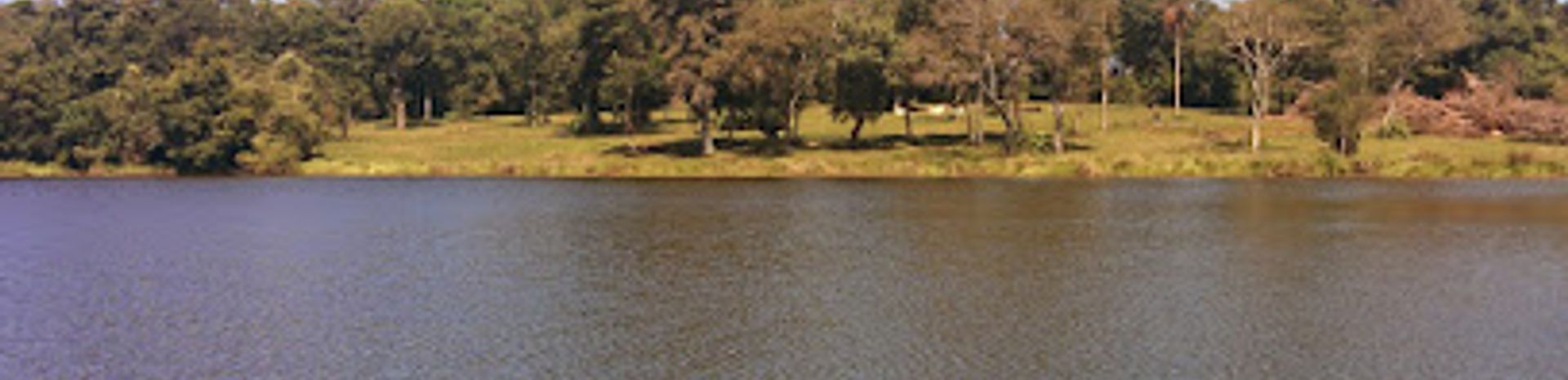 Discover the Untamed Beauty of Reserva San Rafael