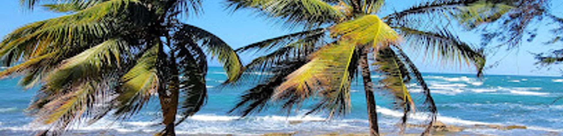 Explore the Scenic Paseo Tablado de Piñones