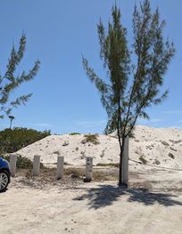 Attraction