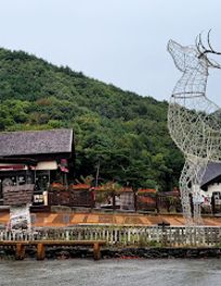 Attraction