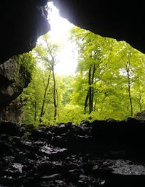 Attraction