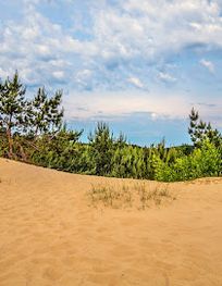 Attraction