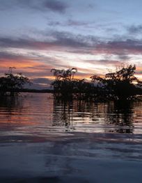 Attraction