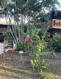 Attraction