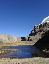 Attraction