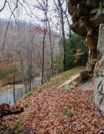 Attraction