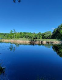 Attraction