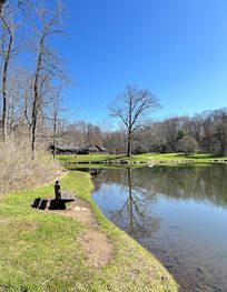 Attraction