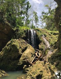 Attraction