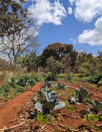 Attraction
