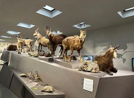 Liechtensteinisches LandesMuseum