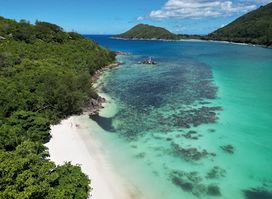 Coral Reef - Port Launay