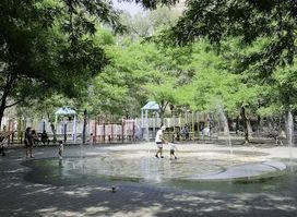 Attraction