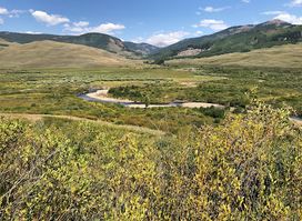 Attraction
