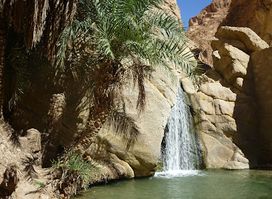 Attraction