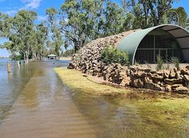 Murray Bridge Bunyip