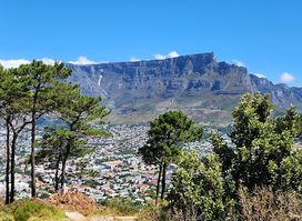 Lion’s Head Paragliding