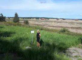 Attraction