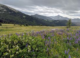 Pasayten Wilderness