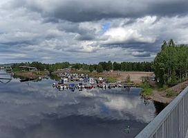 Koivusaari nature trail