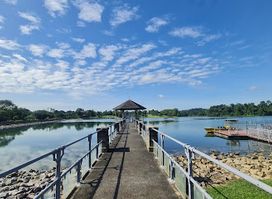 Lower Peirce Reservoir Park