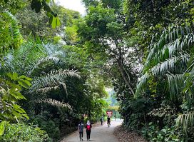Macritchie Treetop Walk Trailhead