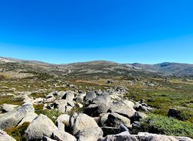 Mount Kosciuszko Summit walk (nr. Charlotte Pass)