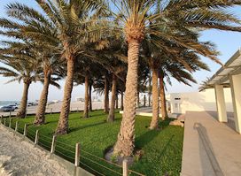 Bahrain Fort Museum