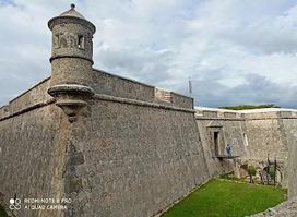 Attraction