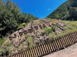 Attraction