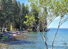 Attraction