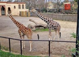 Bioparco di Roma