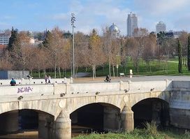 Attraction