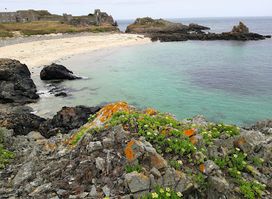 Corblets Beach