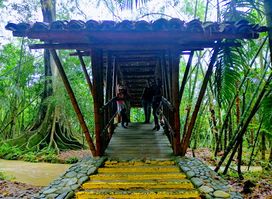 Attraction