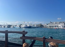 Attraction