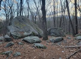 Attraction