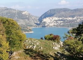 Area faunistica del Lupo