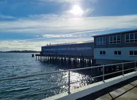 Seahorse World