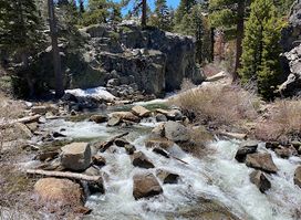 Attraction