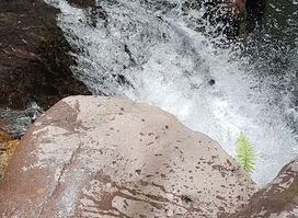 El chorro