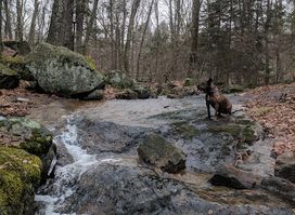 F. Gilbert Hills State Forest