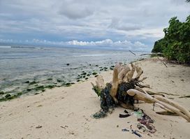 Crab Beach