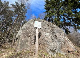 Saadumetsa suurkivi